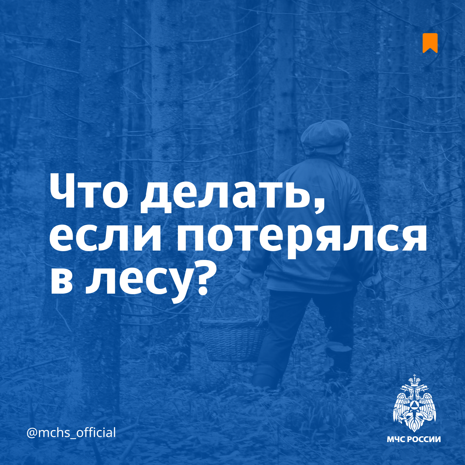 16.1
